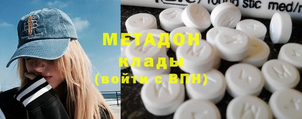 хмурый Аркадак