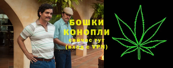 мескалин Новодвинск