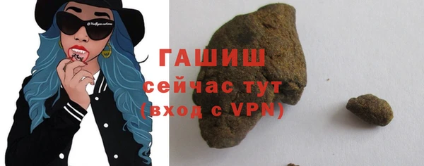 хмурый Аркадак