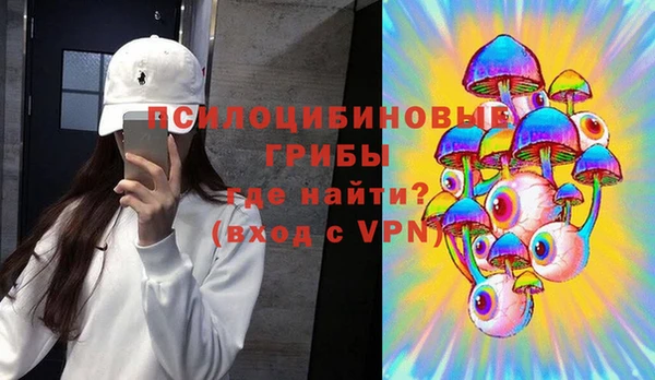 apvp Арсеньев