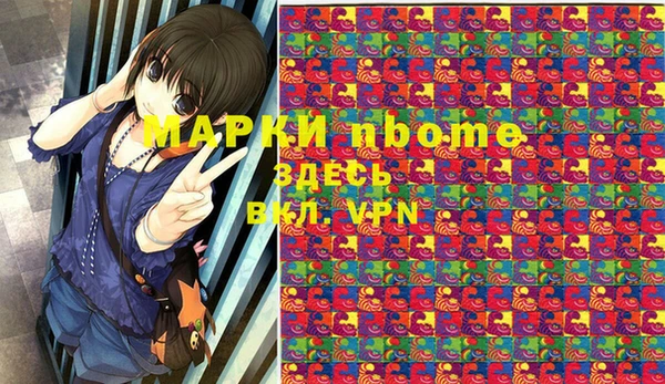 хмурый Аркадак