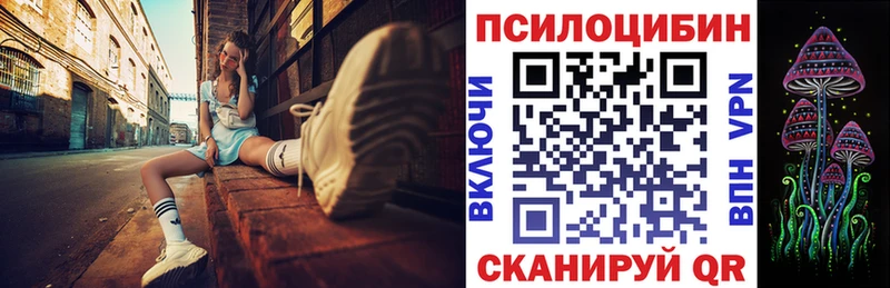 где купить наркоту Ртищево МЕГА сайт Псилоцибиновые грибы мухоморы