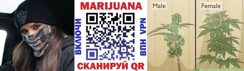 Бошки Шишки OG Kush  shop какой сайт  Ртищево  где купить наркоту 